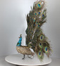 Antique life-size walking and fantail-displaying Peacock automaton, by Roullet & Decamps,