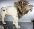 Large Antique leathered nodding Lion Automaton, by Roullet & Decamps