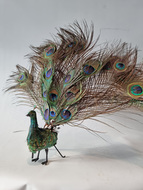 A very rare antique walking and fantail-displaying Indian peacock automaton, by Roullet & Decamps