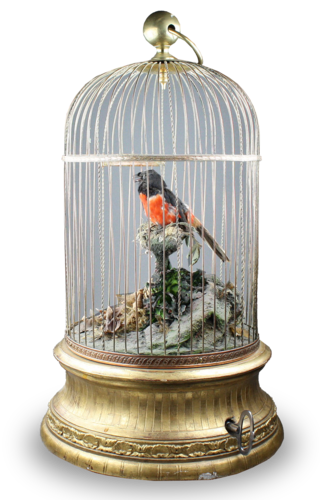 Large single antique singing bird-in-cage, by Phallibois