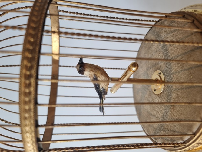 Small Singing Bird Cage by Reuge of Switzerland