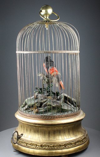 Large single antique singing bird-in-cage, by Phallibois