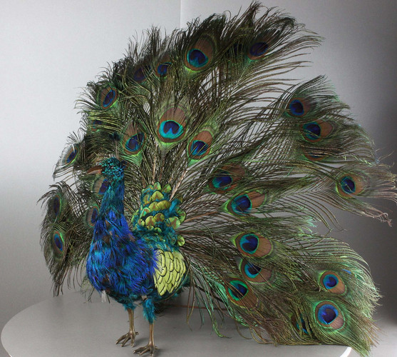 Antique musical walking Indian peacock automaton, by Roullet & Decamps