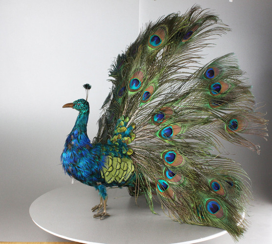 Peacock automaton, by Roullet & Decamps