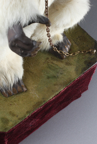 An extremely rare antique performing polar bear musical automaton, by Roullet & Decamps