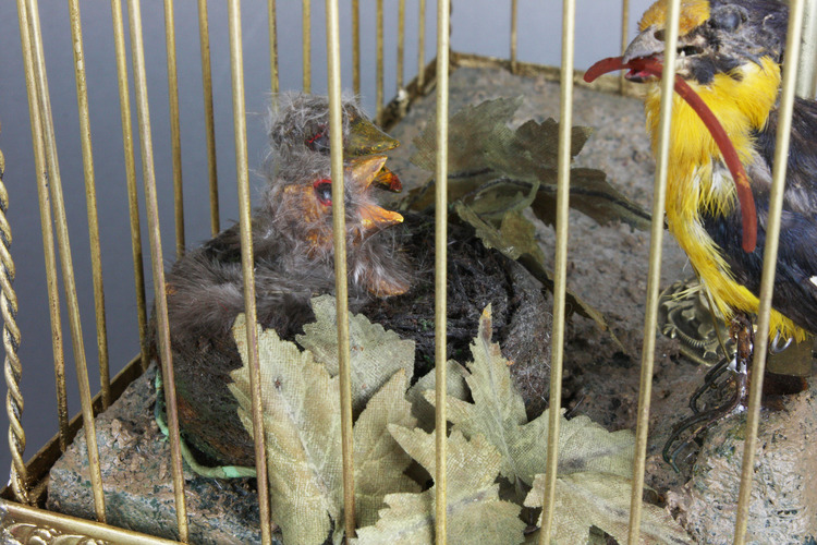 Antique double singing birds-in-cage with hungry chicks in nest, by Bontems